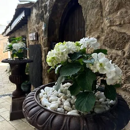 Апартаменти Your Place For Relax *