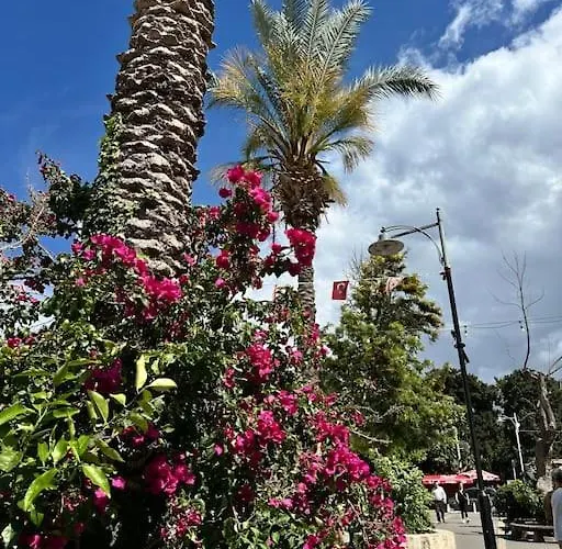 Your Place For Relax