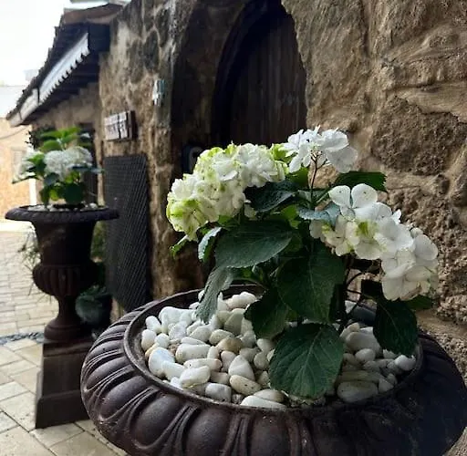 Апартаменты Your Place For Relax *